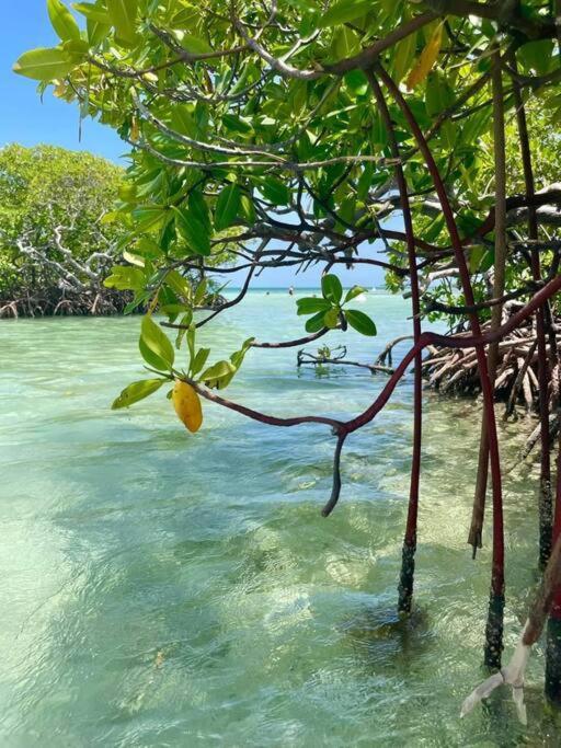 Apartament Les Pieds Dans L'Eau Chez Syl Le Moule Zewnętrze zdjęcie