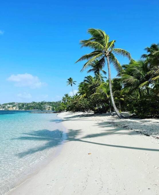 Apartament Les Pieds Dans L'Eau Chez Syl Le Moule Zewnętrze zdjęcie