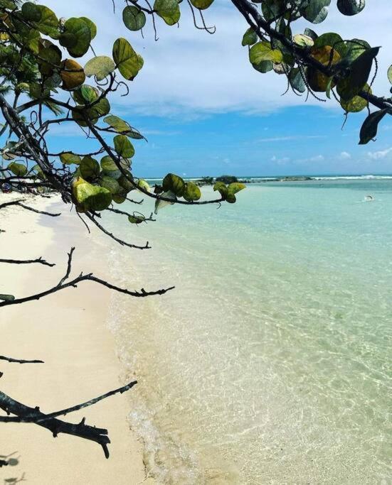 Apartament Les Pieds Dans L'Eau Chez Syl Le Moule Zewnętrze zdjęcie